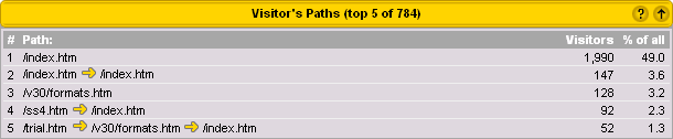 Visitor's Paths Sample Report