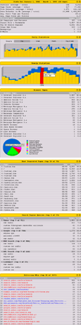 Sample web traffic report